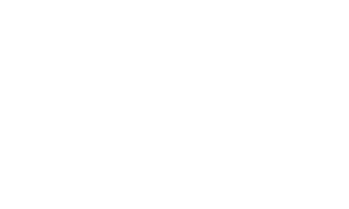Polaroid-logo (blanco)